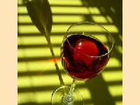 Wein hat auch in Argentinien Tradition: Weinfest in Mendoza vom Februar bis M�rz